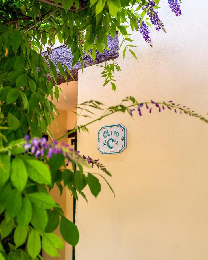 Agriturismo La Fonte Bevagna Exteriér fotografie